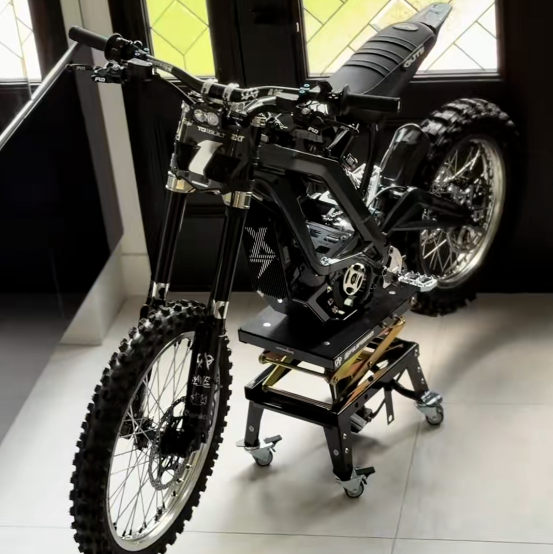 Surron Light Bee/Segway/Falcon/79 Bike Titanium Bolt Kit